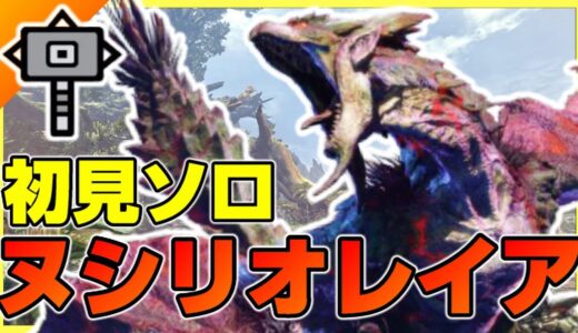 ヌシリオレイアをハンマーで初見攻略【モンスターハンターライズ】