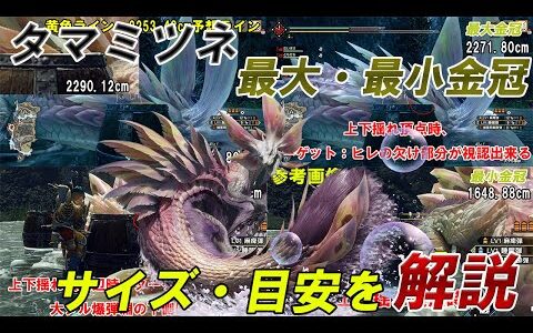 【最大金冠】タマミツネ【最小金冠】サイズ詳細・目安 モンスターハンターライズ 金冠集め