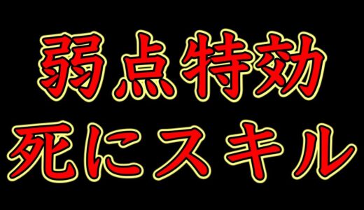 【モンハンライズ】弱点特効は死にスキル！？自分に合った装備構成にしてる？