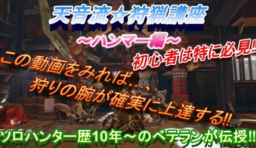 モンハンライズ☆攻略～ハンマーの使い方・立ち回り講座♪オススメ装備も紹介♪～