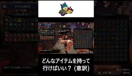 【切り抜き】モンハンライズ / これからは