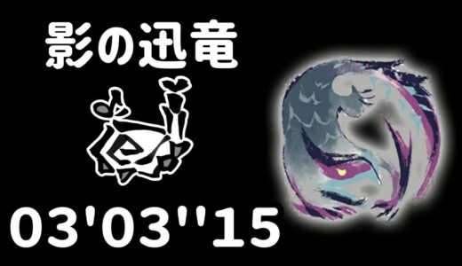 【モンハンライズ】イベクエ  ナルガクルガ 狩猟笛  ソロ 03’03”15 / Nargacuga Hunting Horn Solo