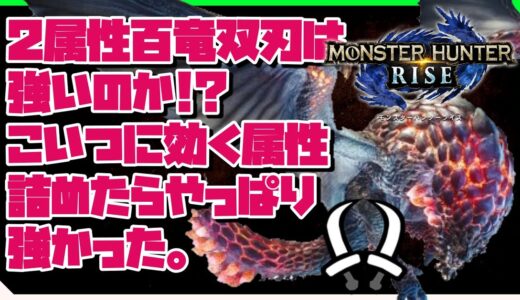 【モンハンライズ】バゼル双剣4分安定。２属性百竜双刃は強いのかを想定したカスタムを作って検証してみたらやっぱり強かった。【モンスターハンターライズ:MHRise】＠楪ユウ