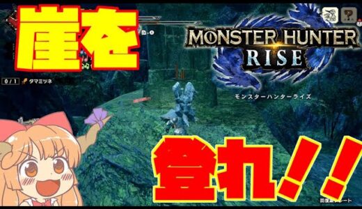 【モンスターハンターライズ】陸の女王⁉リオレイア‼もとから笛ハンターですよ？【ゆっくり実況】#5