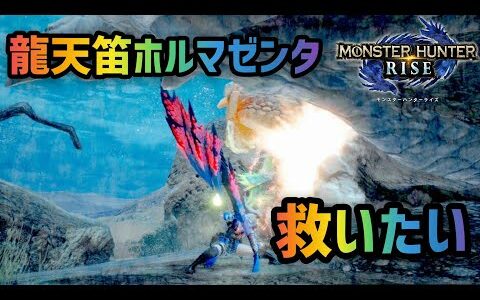 【モンハンライズ】狩猟笛のバルファルク武器を救いたい！/Basarios Hunting Horn Solo