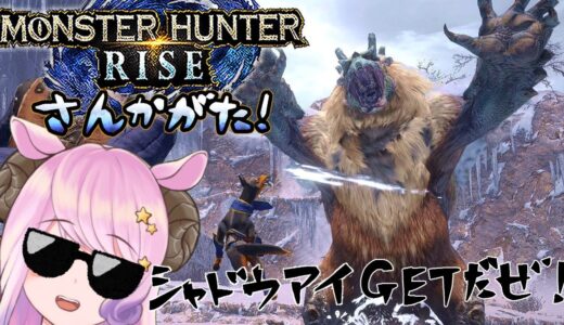 🍡【MH:RISE】毎度おなじみ金曜モンハンライズ参加型でっせ！皆遊びにcome on！【Vtuber/夢見ここ/ゲーム実況】