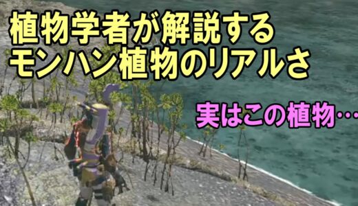 【MHRise考察】モンハンはここまでこだわっている！植物学者が解説する「溶岩洞キャンプのマングローブ」【切り抜き・モンハンライズ】