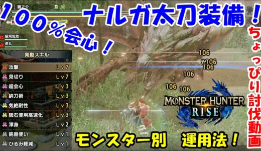 モンハンライズ！ナルガ太刀最強装備！１００％会心　討伐動画あり【MHRise】