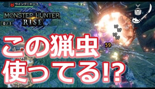 【MHRise/モンハンライズ】操虫棍使いの8割がたぶん使ってない！？実はこんなに楽しい「あの猟虫」の魅力を伝えたい！！（操虫棍/溜め連続攻撃/初心者の方/使い方/おすすめ/選び方）