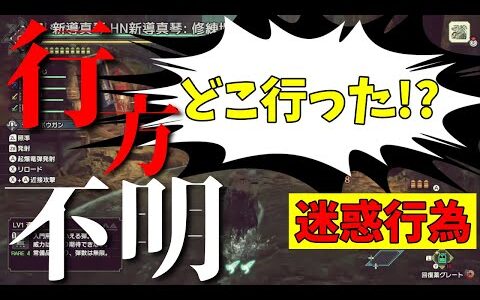 参加型で起きた地味な迷惑行為【MHRiseGameplay/モンハンライズ/モンスターハンターライズ/生放送/生配信/ライブ配信】