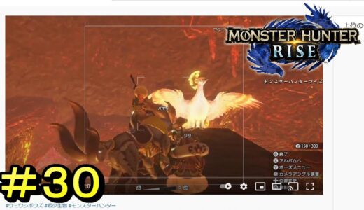 【モンスターハンターライズ】ゴクエンチョウって火の鳥だろ 禍鎌ヴァルナロスつくる【MONSTER HUNTER RISE】#３０