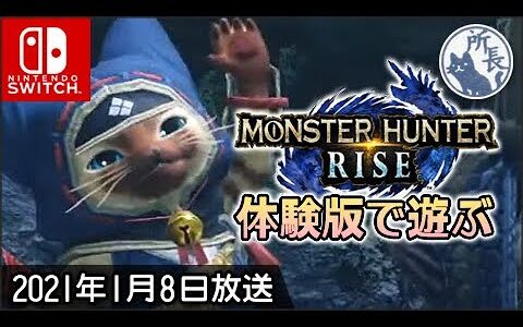 モンスターハンターライズの体験版をプレイ【MONSTER HUNTER RISE】DEMO