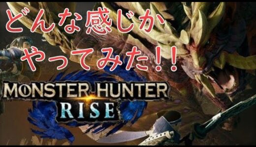 【モンスターハンターライズ】初心者がどんな感じかやってみた【Nintendo Switch】