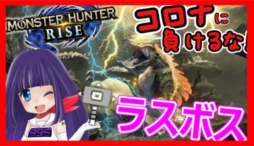 🔴【モンハンライズｘVtuber】ストーリーラスボス戦！！🌟参加型🌟【モンスターハンターライズ】