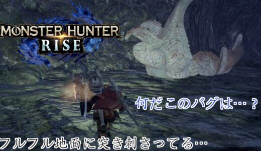 誰か何が起こったか教えてくれ…　[モンスターハンターライズ]