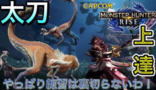 [モンスターハンターライズ]初心者必見！？太刀がこの前より明らかに上達してる！？[モンハンライズ太刀]