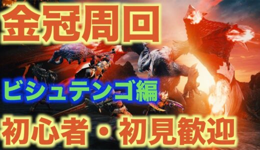 一緒にマルチできる方募集 モンスターハンターライズ