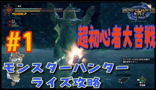 【モンハンライズ初心者攻略＃１】モンハンシリーズ初プレイ！ゲーム下手な人がソロプレイで何処までいけるか！？