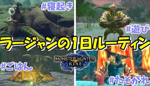 ラージャンの生態観察（1日のルーティン編）【モンハンライズ】
