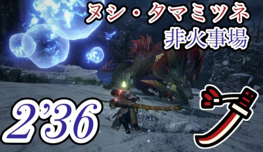 【モンハンライズ】ヌシ・タマミツネ 非火事場 2’36″66 太刀 ありあり / Apex Mizutsune Long Sword【MHRise】