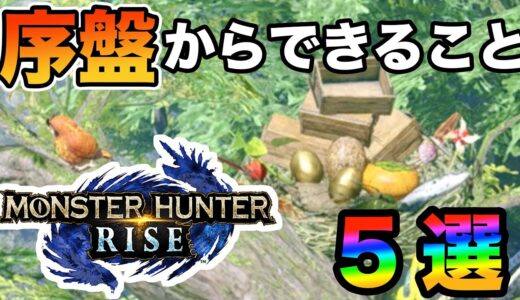 【モンスターハンターライズ】序盤からラスボスクリア後までみんなができる絶対やるべきこと5選！！【MonsterHunterRise】