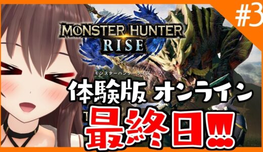 【モンスターハンターライズ DEMO】オンラインは17：00まで！！残り回数皆と楽しも～！！！！【初見プレイ/ゲーム実況】八重沢なとり VTuber