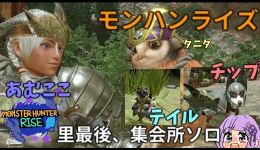 【ゲーム配信Live】MONSTER_HUNTER_RISE（モンスターハンターライズ）１７