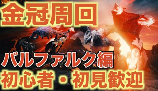 金冠周回　一緒にマルチできる方募集 モンスターハンターライズ【＃MHRise】【＃モンハンライズ】