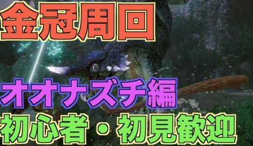 金冠周回　一緒にマルチできる方募集 モンスターハンターライズ【＃MHRise】【＃モンハンライズ】