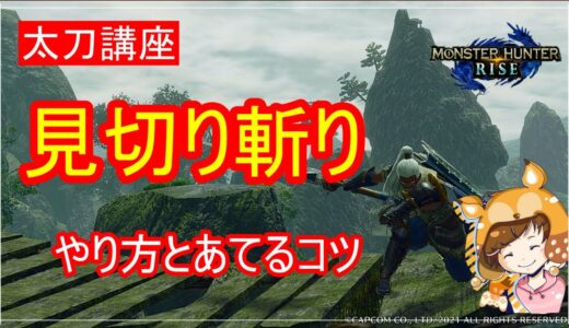 [Rise/モンハンライズ]太刀　見切り斬りをあてやすくなる方法　初心者向け