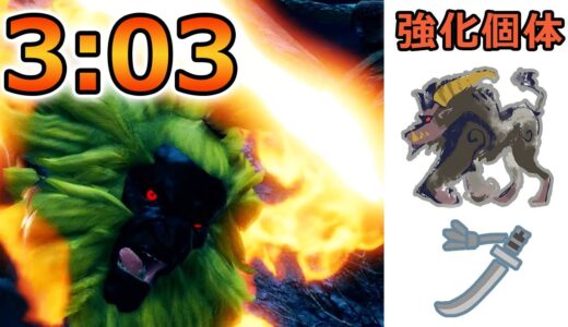 【モンハンライズ】SFサイキョー流昇段試験 強化ラージャン 太刀 非火事場 3:03 / Rajang LS 【MHRise】