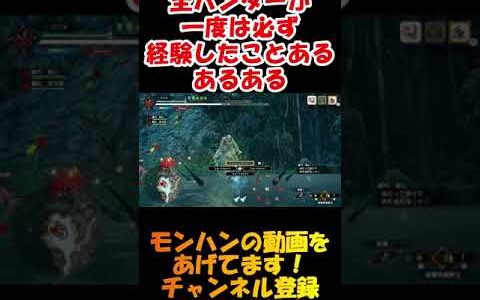 【モンハンライズ】全ハンターが一度は経験したことがある あるある#shorts【MHRise】