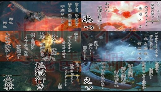 【モンハンライズ】琵琶法師改変シリーズまとめ