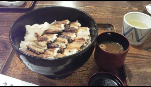 【モンハンライズ】 みんなで勲章・称号集め！【参加希望は概要欄から】