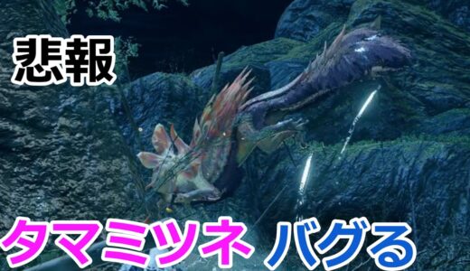 モンスターハンターライズ  タマミツネが引っかかるバグ