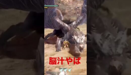 ランスで超キモチイイ【モンハンライズ】