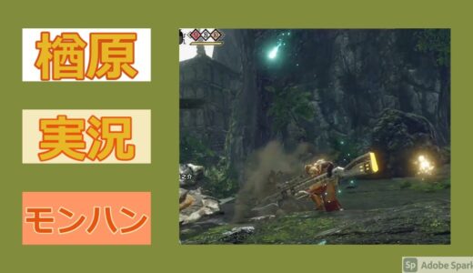 【楢原】【ゲーム実況】モンハンライズ！