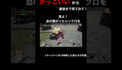 【モンハンライズ】息のあったシンクロプレイ動画