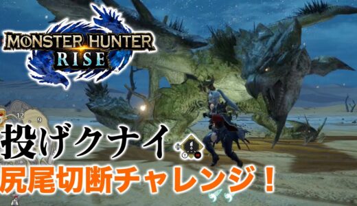 『モンハンライズ』ハンマー＆笛使い歓喜！？投げクナイで尻尾が切れるぞ！