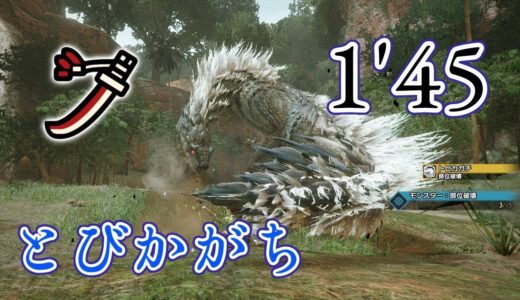 【モンハンライズ】トビカガチ 1’45″97 太刀 捕獲 ありあり / Tobi-Kadachi Long Sword【MHRise】