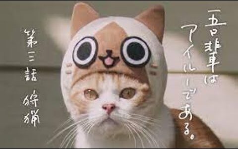 モンハンライズ　勲章コンプ♪のんびっりクエ回し　参加〇　MHRise Live