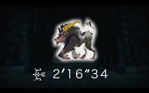 【MHRise/モンハンライズ】SF・サイキョー流昇段試験 強化ラージャン 弓 TA ソロ 2’16″34 Rajang Bow Speedrun Solo