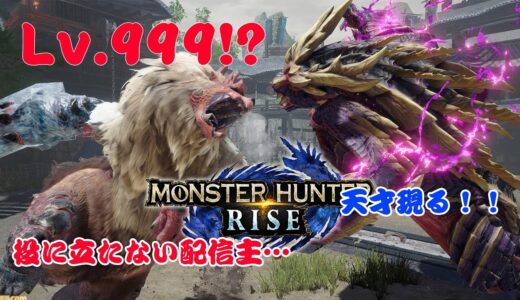 モンハンライズ参加型生放送したら、とんでもない大物来た！