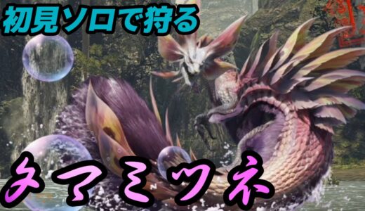 【モンスターハンターライズ】上級クエスト！久々の海竜種タマミツネを狩る！