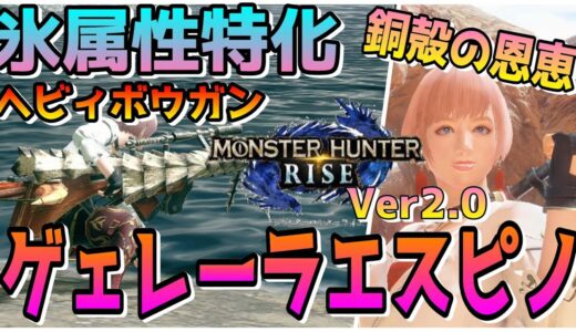 【モンハンライズ】ひるみまくり♪氷属性特化ヘビィ‼　遊び尽くせ!!＃モンハンライズ＃ヘビィボウガン ＃銅殻の恩恵＃属性＃ディアブロス