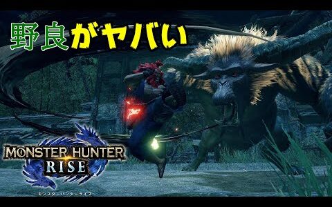 【モンハンライズ】野良マルチ調査！強化ラージャンの勝率は何パーセント！？【モンハンライズ】
