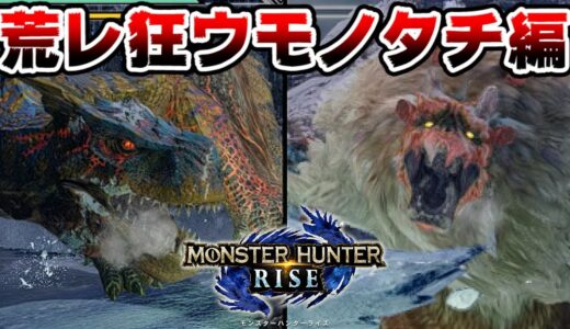 【モンハンライズ】凶暴怪獣バトル！？最強ハンター決定戦荒レ狂ウモノタチ編！