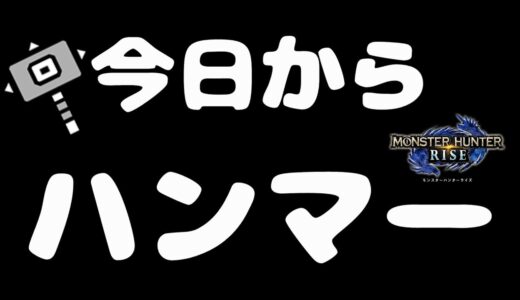 [モンハンライズ]今日から振りたいハンマー解説[初心者必見]