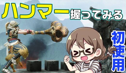 【モンハンライズ】ハンマーデビュー２日目！今作では初使用なので猛練習しつつ汎用装備を作成する【モンスターハンターライズ】