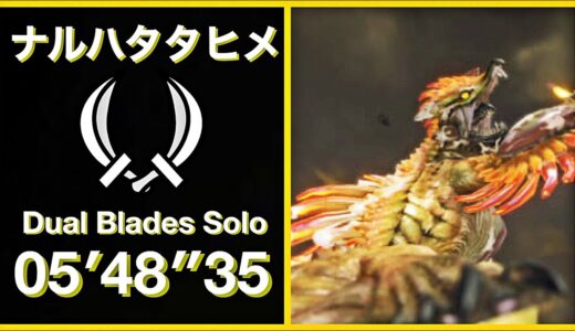 【モンハンライズ】ナルハタタヒメ  双剣ソロ  05′48″35/Thunder Serpent Narwa Dual Blades Solo